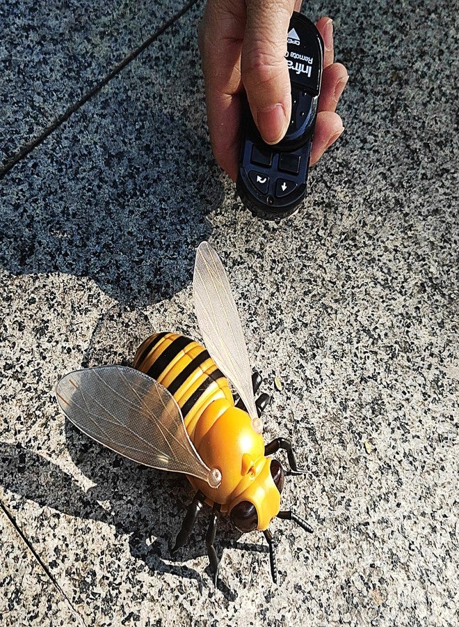 Tipmant Realistic RC Honey Bee Remote Control Insect Animal Vehicle Car Prank Toys Pet Cat Dog Teasing Kid Birthday Gifts - Image 4